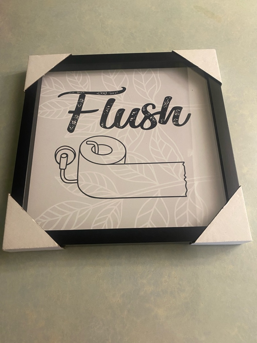 Bathroom Flush Toilet Paper Wall Art - Black & White